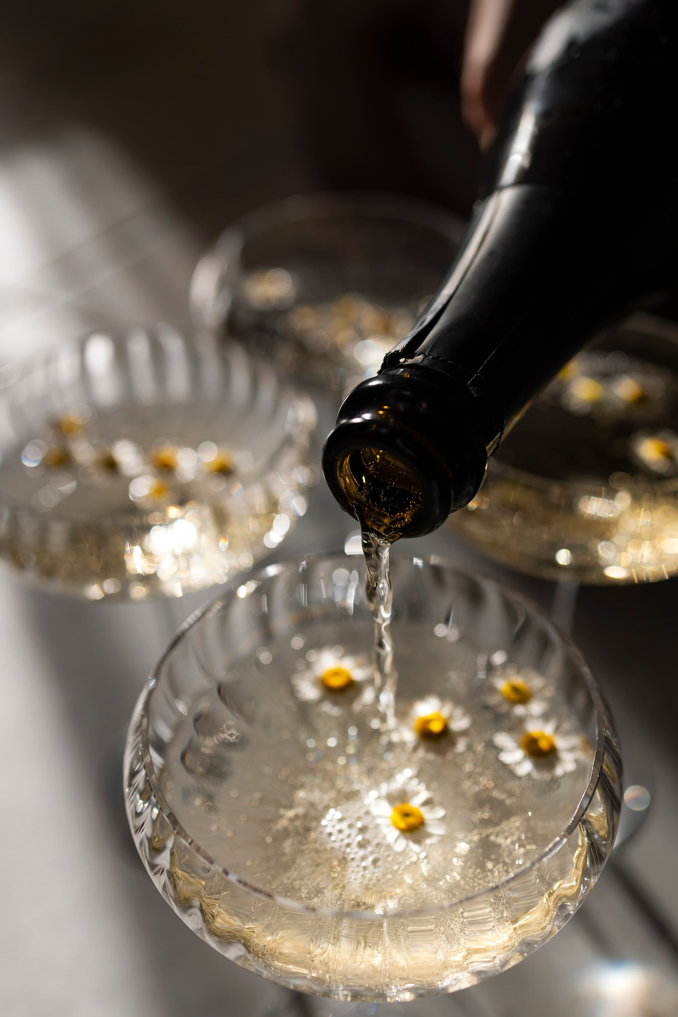 Our Cocktails